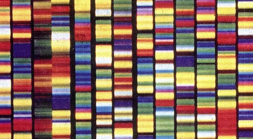 ADNA Gene 02 Image