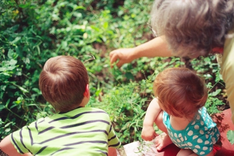 ADNA Option02 Genealogie Image