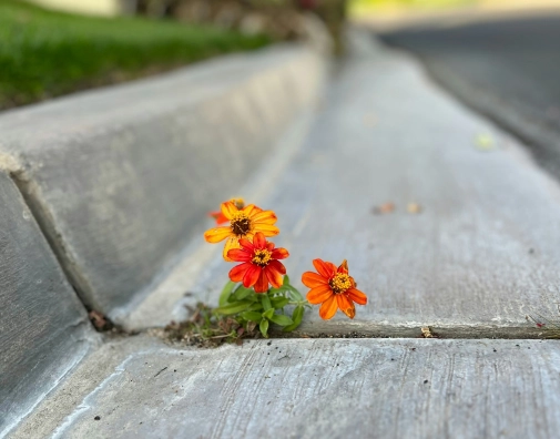 Jason thompson 7roe EJ6 L 94 unsplash