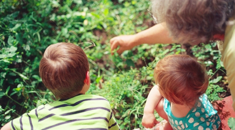 ADNA Option02 Genealogie Image