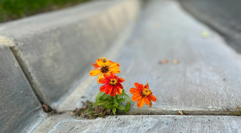 Jason thompson 7roe EJ6 L 94 unsplash