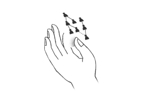 Icon test adn genealogie