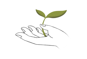 Icon test adn bien etre