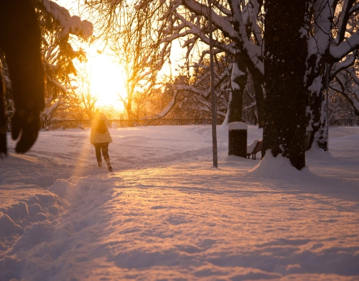 Estonia incorporated qd Syec00 Lcc unsplash