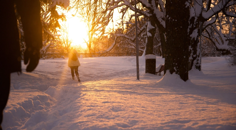 Estonia incorporated qd Syec00 Lcc unsplash