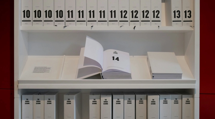 Catrina carrigan 9 E Aq Jfd AUKM unsplash