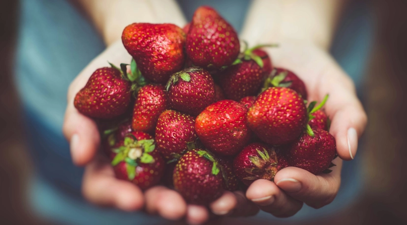 Arturrro Gd T La Wam F Hw unsplash